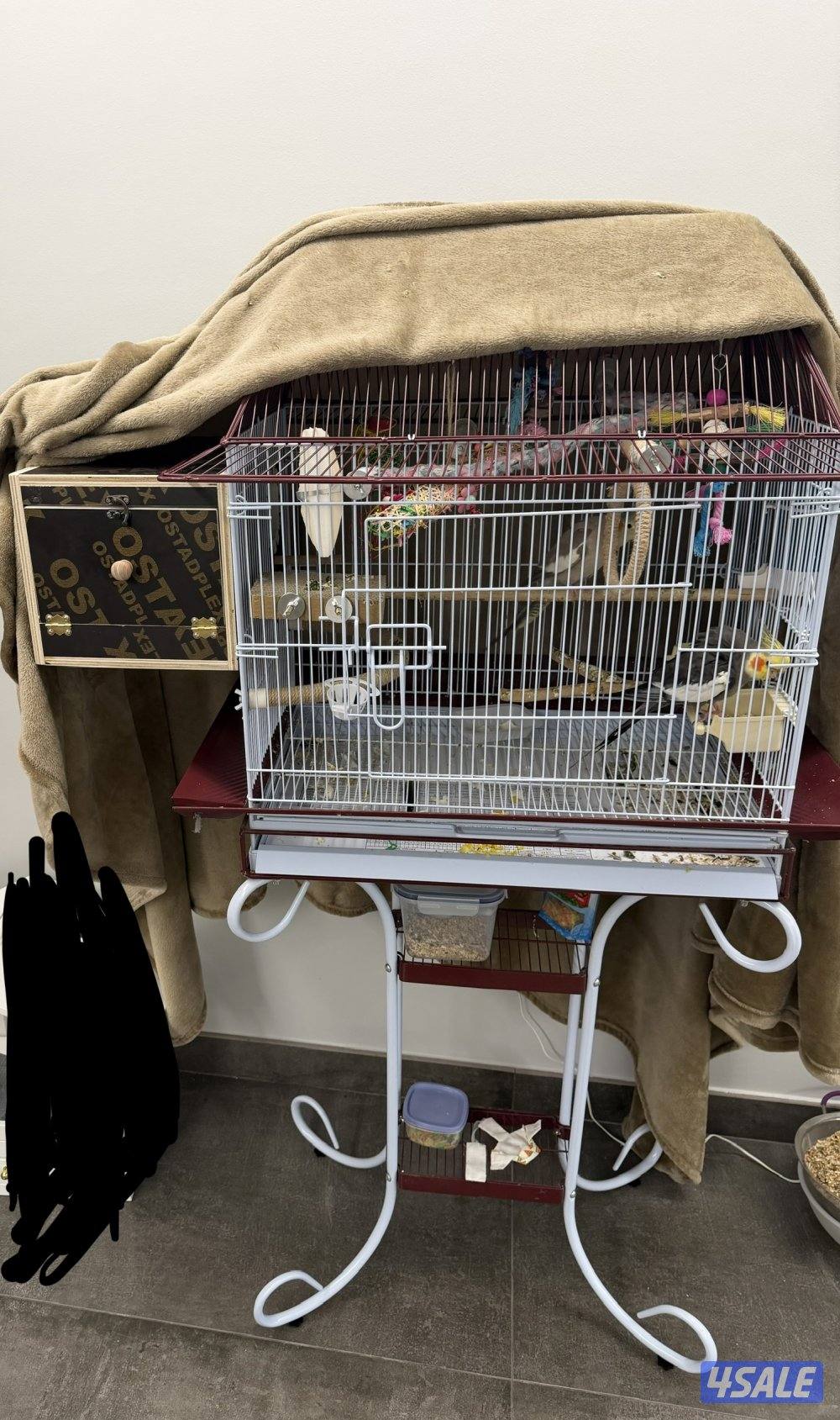 3 فروخ كروان مع الام والقفص والحضانه3