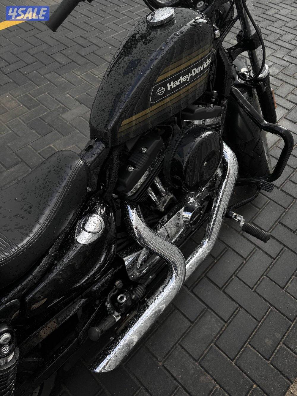 Harley Davidson 48 - 1200 XL - 20203