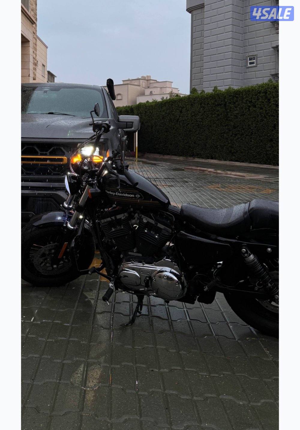 Harley Davidson 48 - 1200 XL - 20204