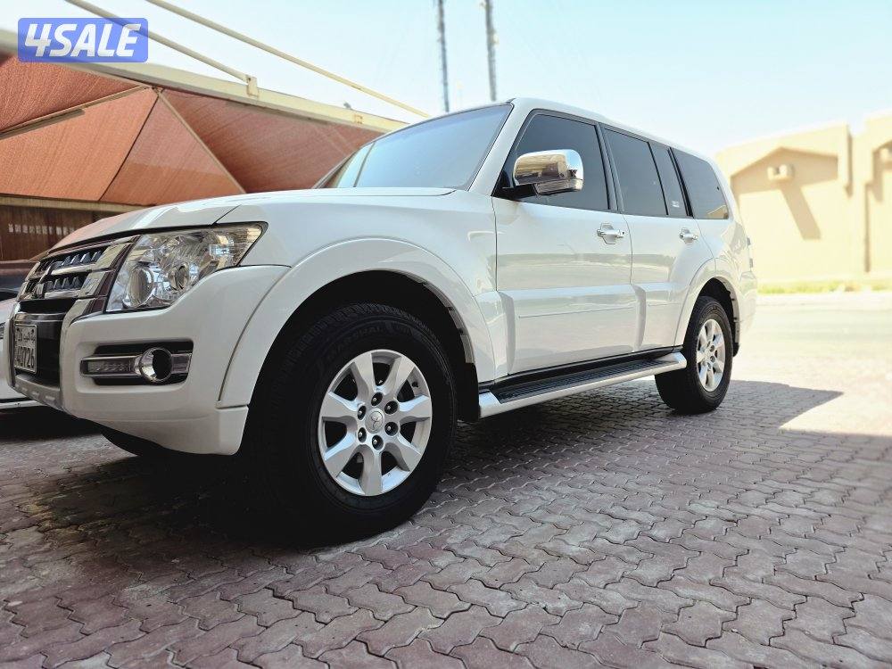 صبغ الوكالة1