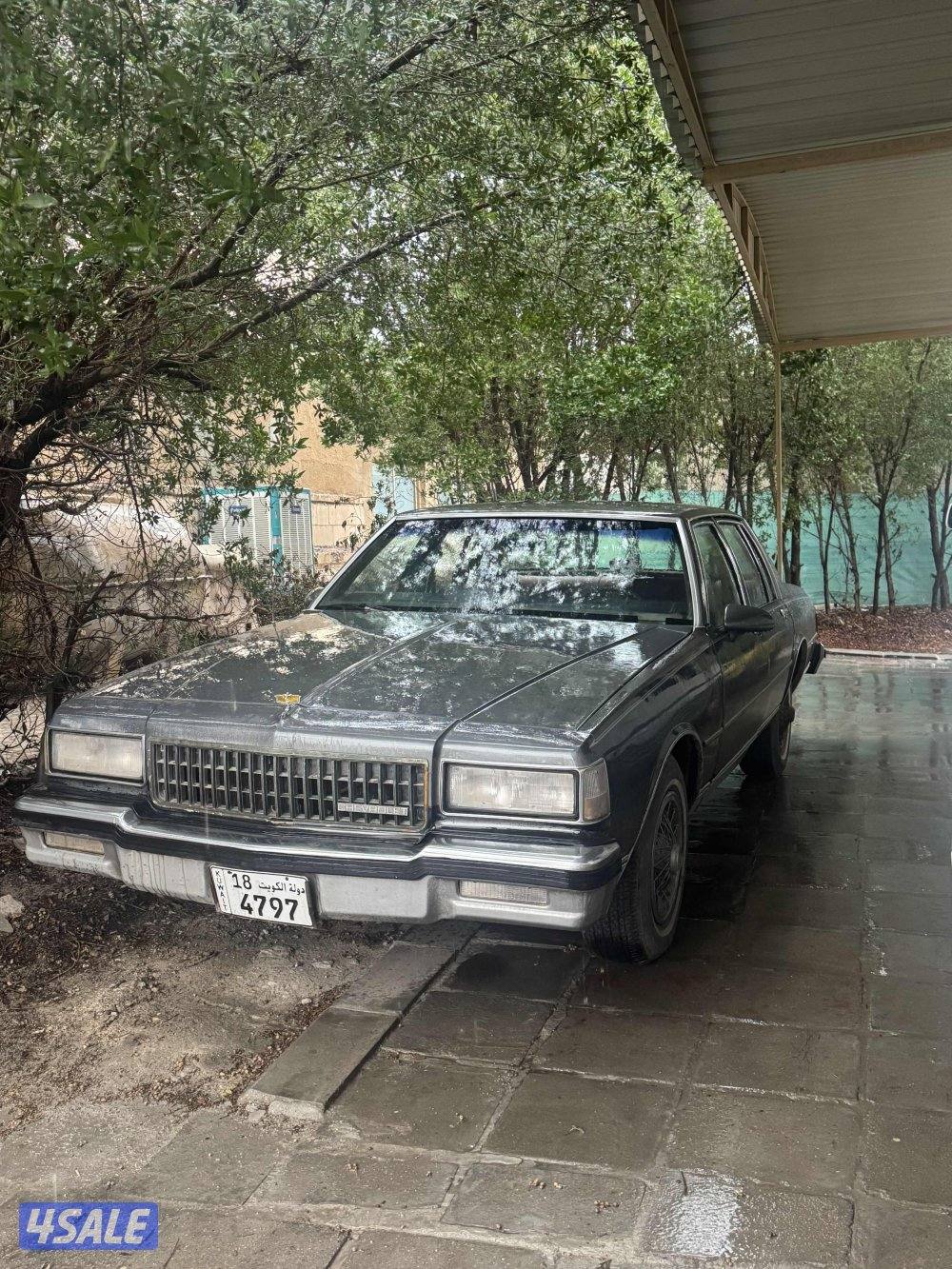 كابرس مديل ٨٧0