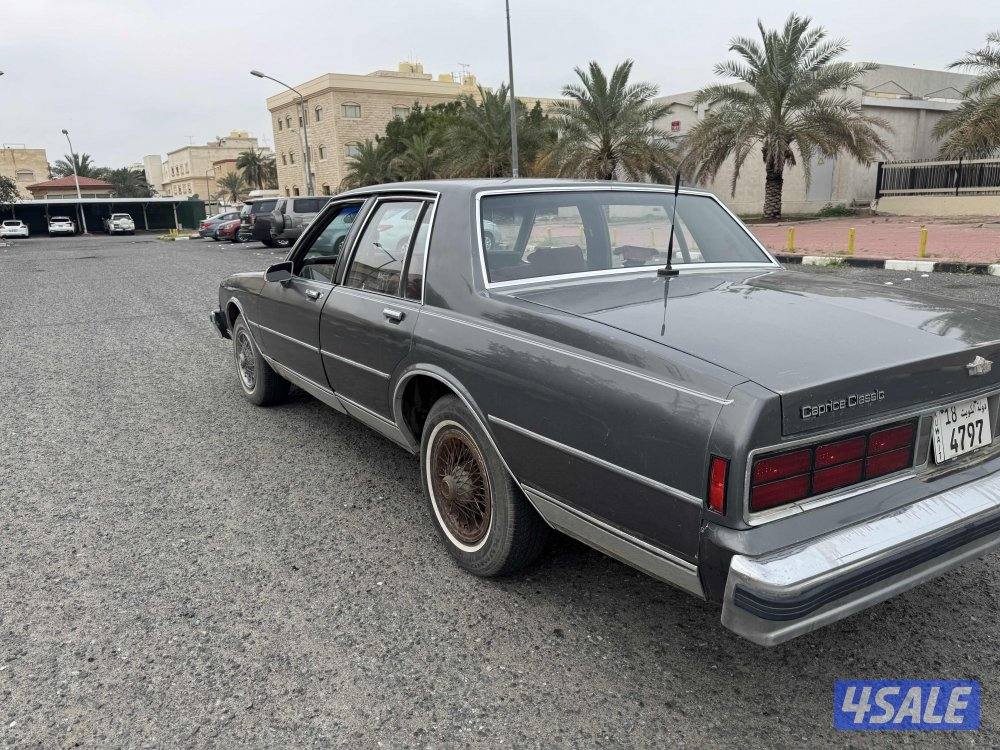 كابرس مديل ٨٧2