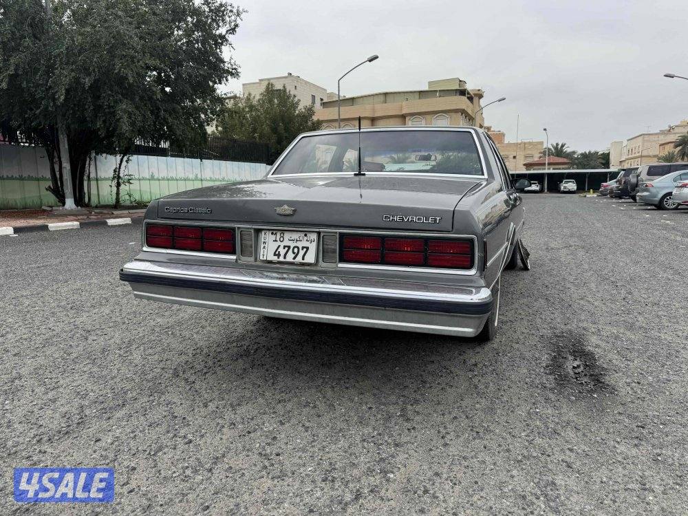 كابرس مديل ٨٧3