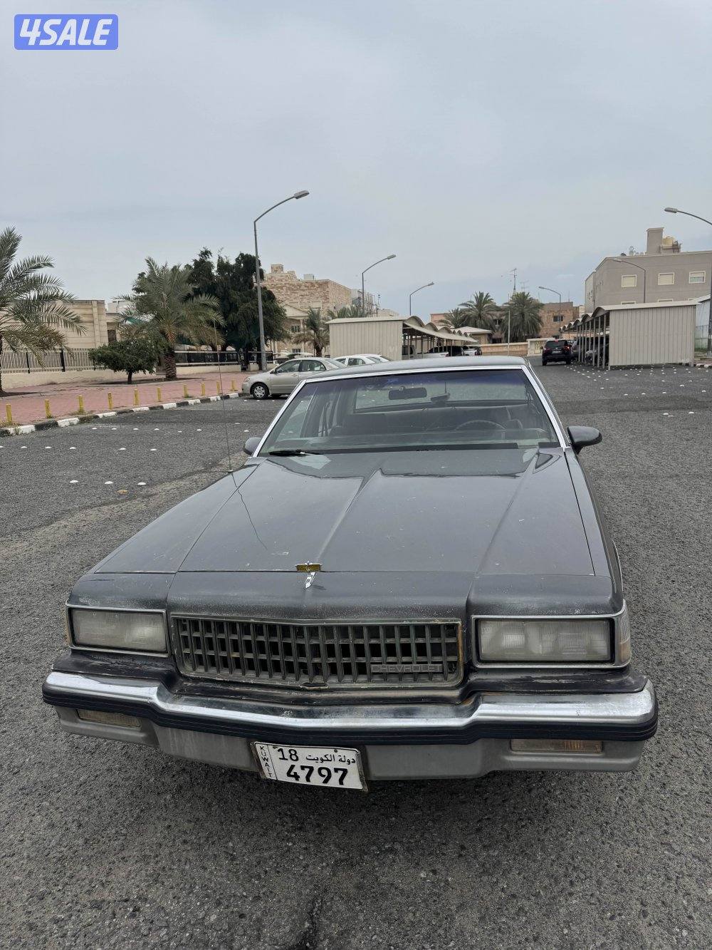 كابرس مديل ٨٧6