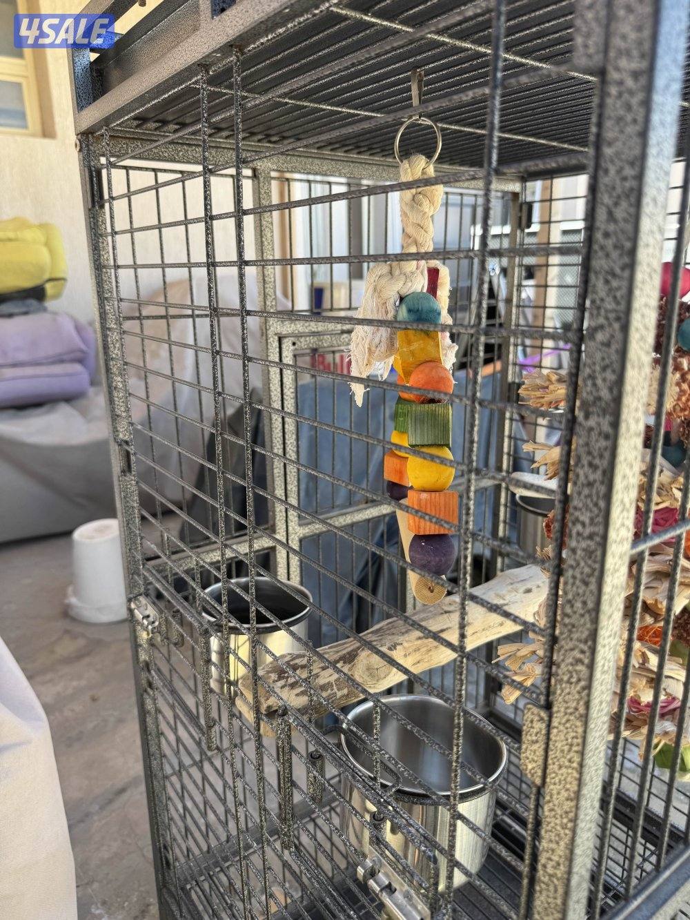 قفص كاسكو نضيف و مع طوس الأكل و الماي و العابه2