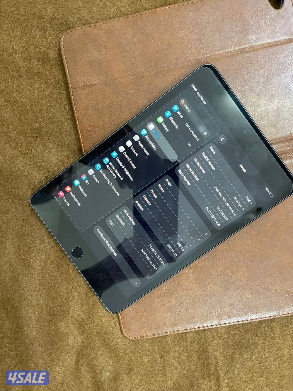 ايباد ابل ميني 5 الخامس 256 قيقا نظيف حيل ولا زلغ مع كفر اصلي وشاحن1