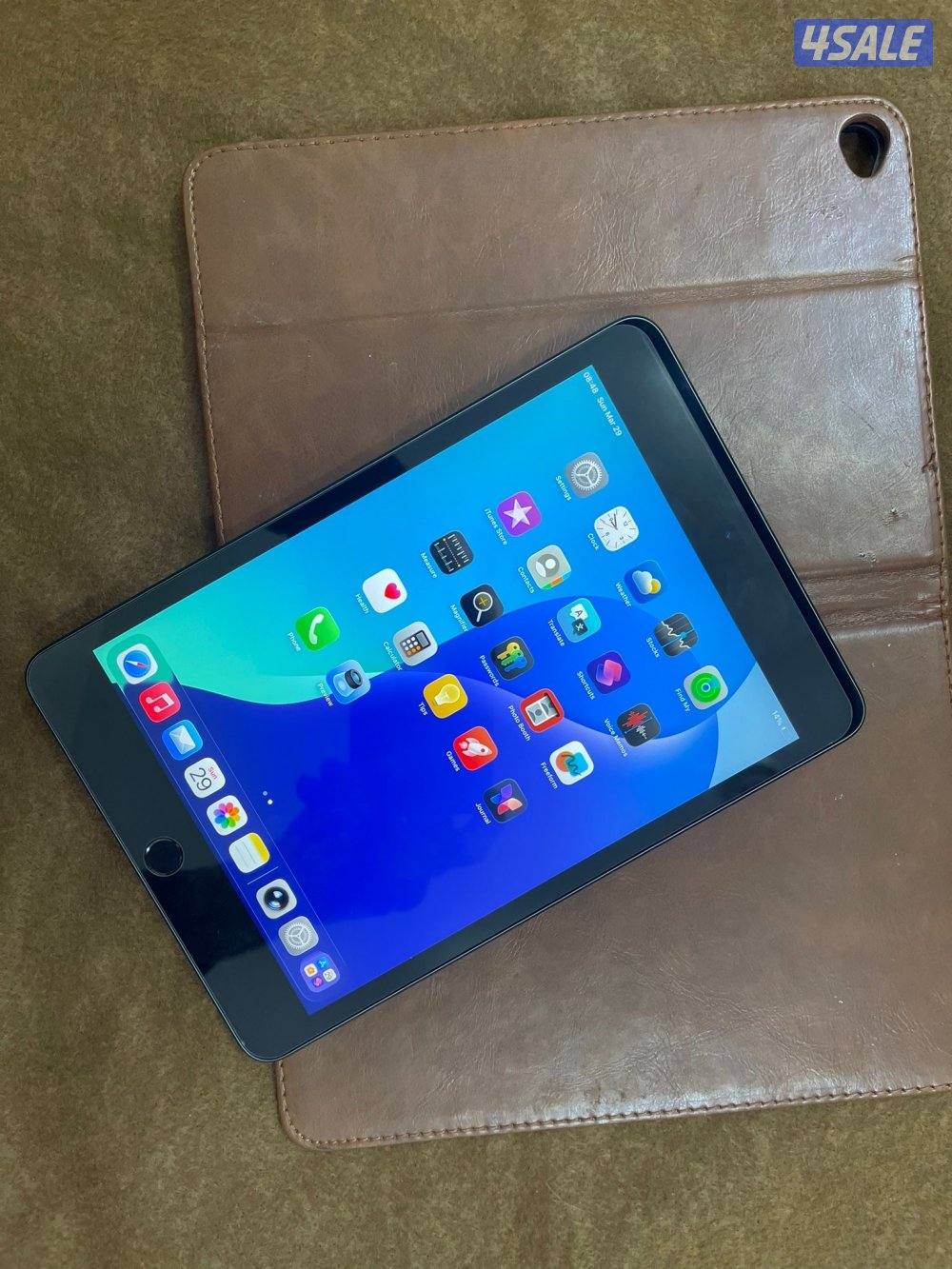 ايباد ابل ميني 5 الخامس 256 قيقا نظيف حيل ولا زلغ مع كفر اصلي وشاحن2