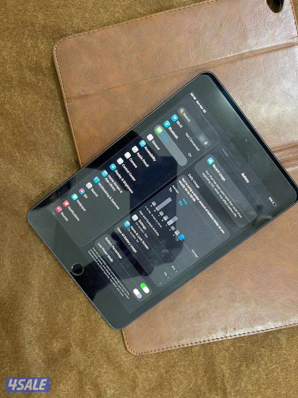 ايباد ابل ميني 5 الخامس 256 قيقا نظيف حيل ولا زلغ مع كفر اصلي وشاحن6