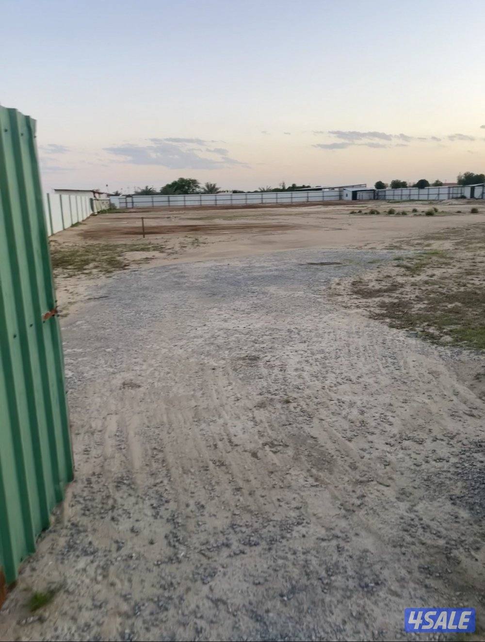 مزرعة بالوفرة شهرى0