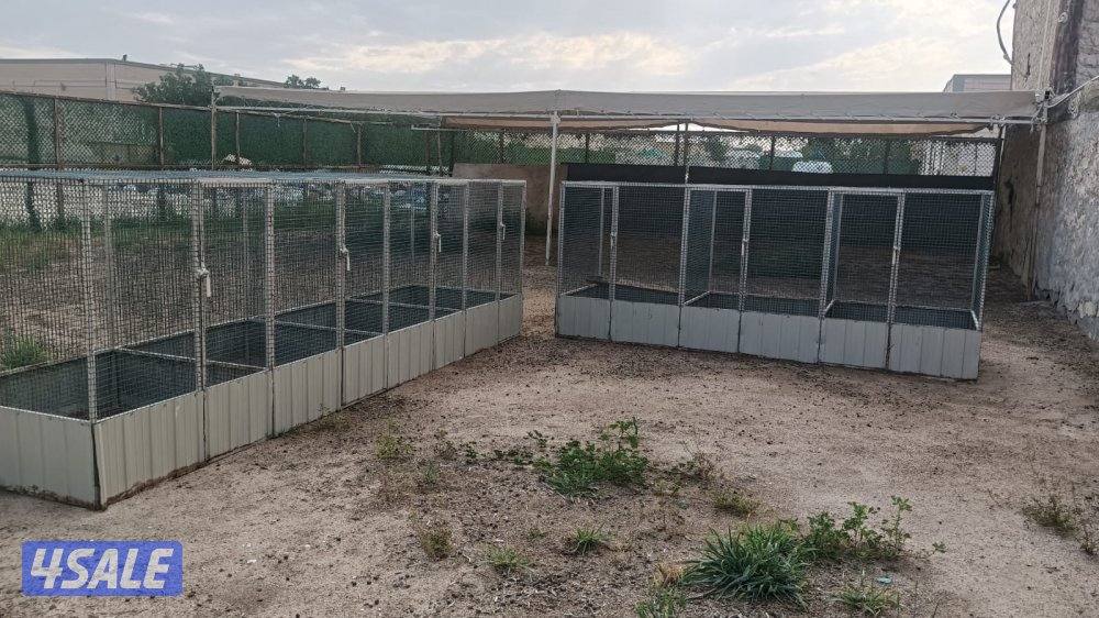 محاصير دجاج2