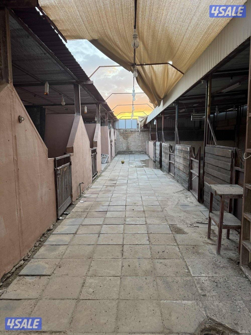 للإيجار شهري0