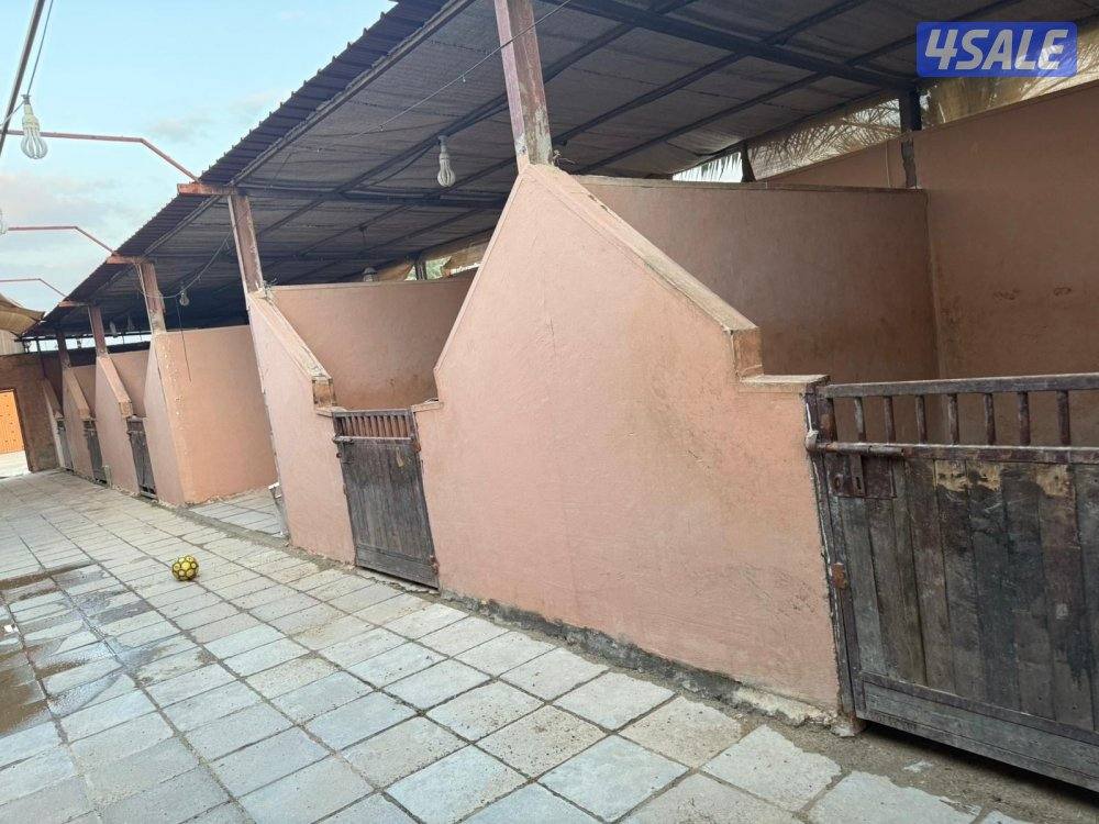 للإيجار شهري1