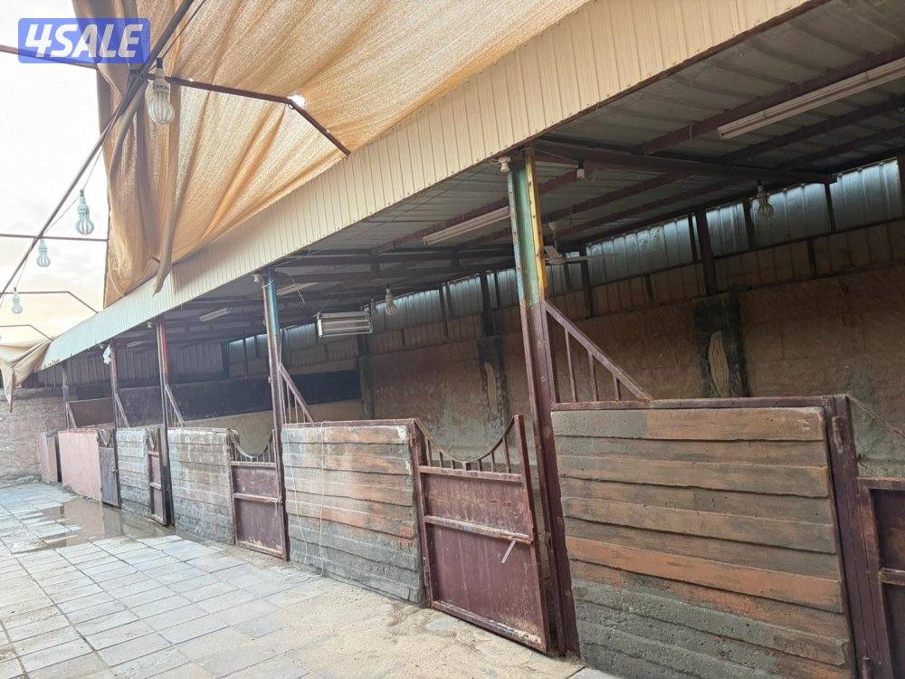 للإيجار شهري2