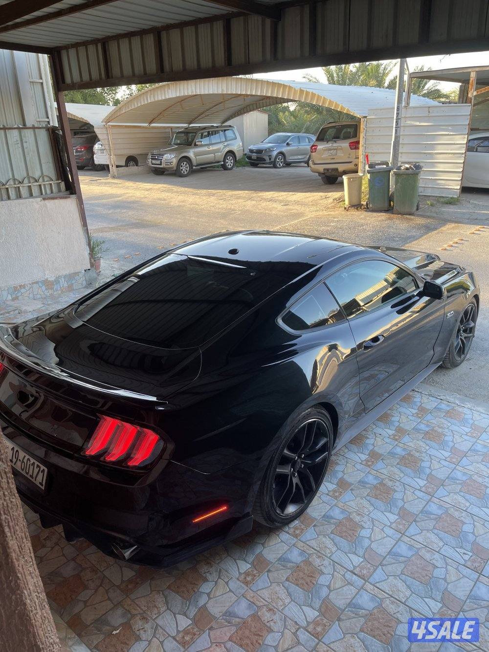 موستنق 5.0 قيرعادي 20150