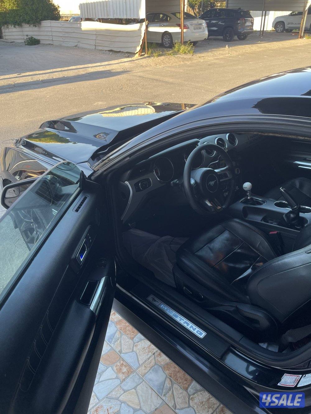 موستنق 5.0 قيرعادي 20151