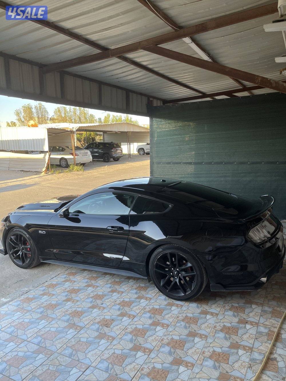 موستنق 5.0 قيرعادي 20152