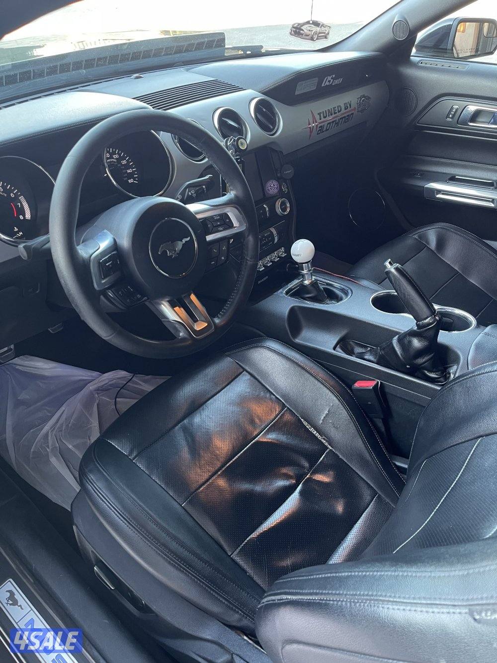 موستنق 5.0 قيرعادي 20153