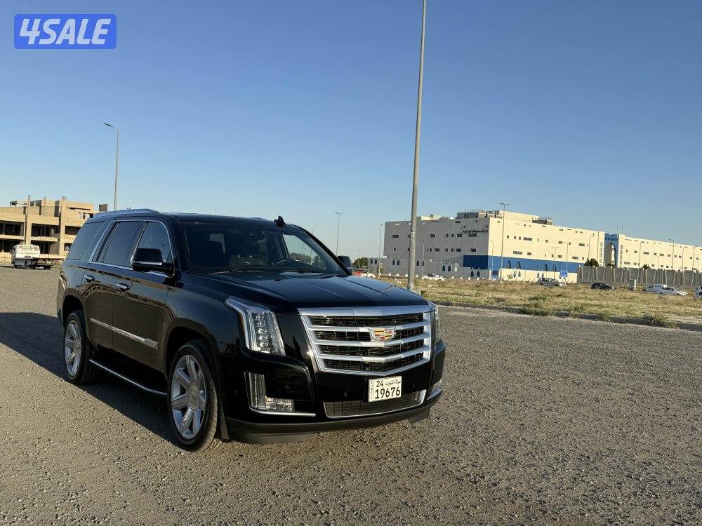 للبيع سكاليد 20170