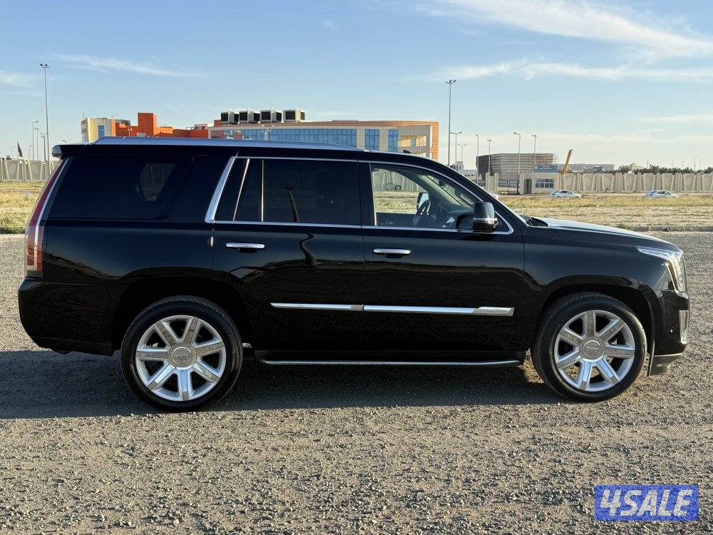 للبيع سكاليد 20173