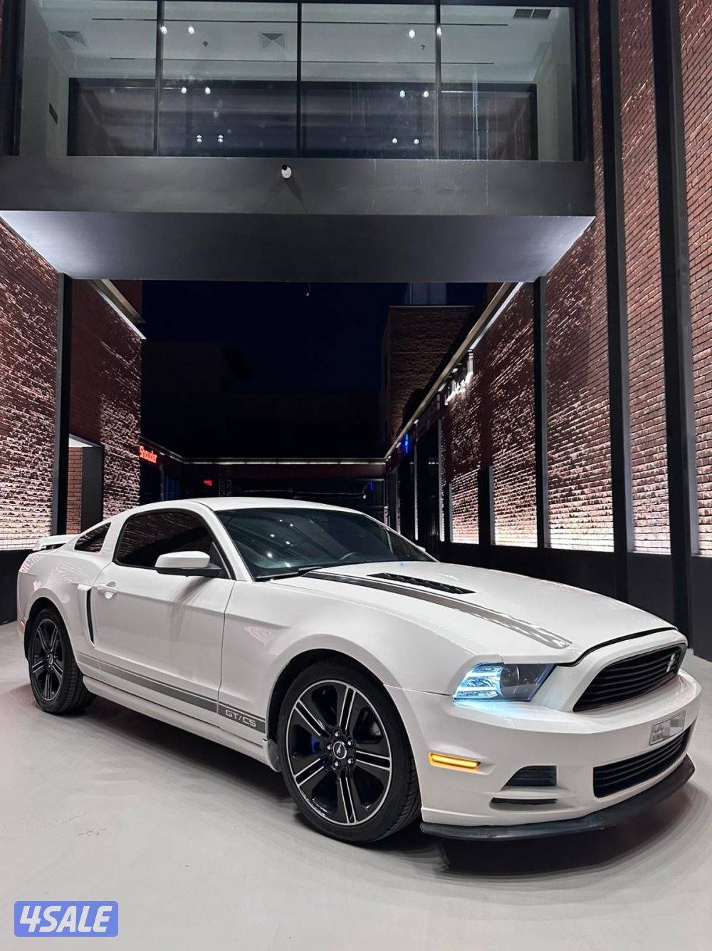 سبيشل كاليفورنيا قير عادي1