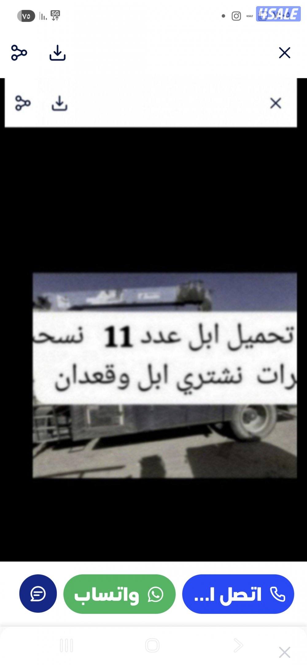 نشتري ابل وحشوونش تحمل بل العدد 120