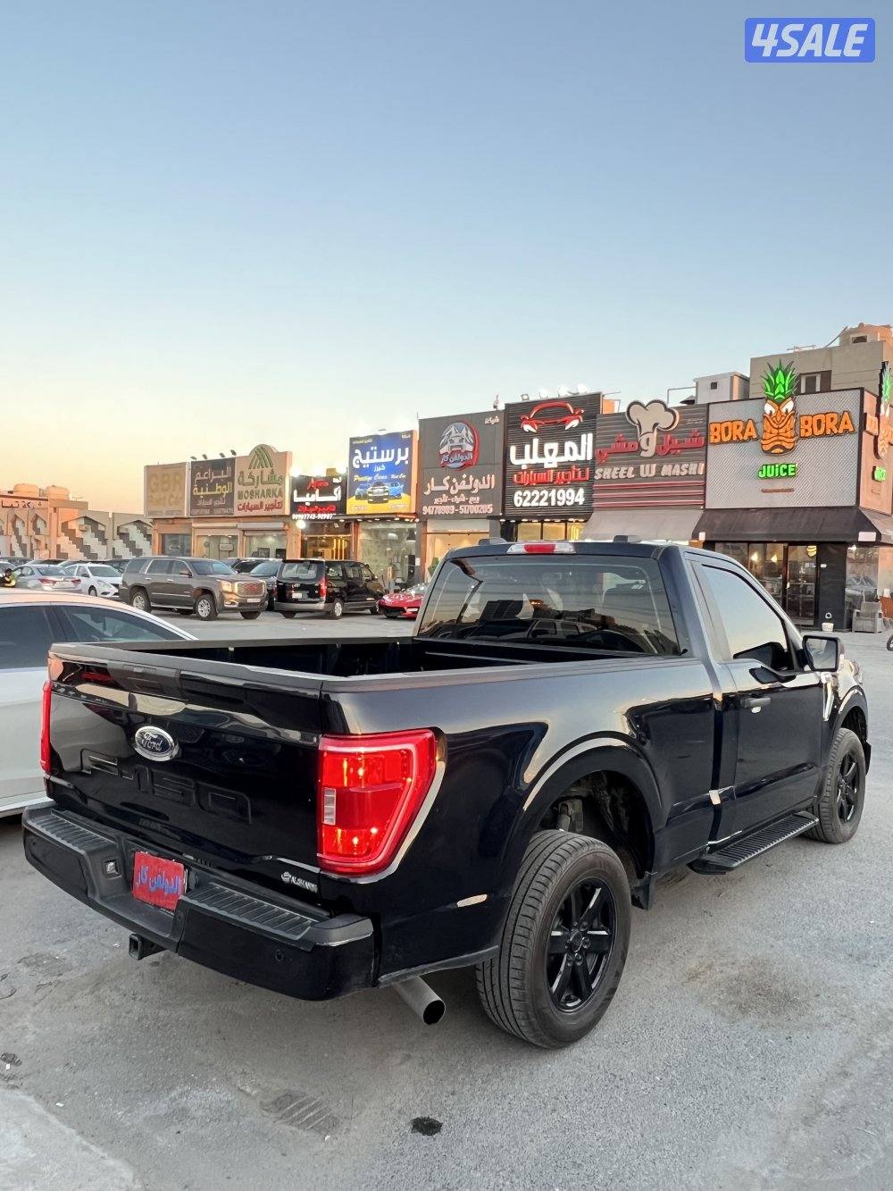 وانيت فورد F1503