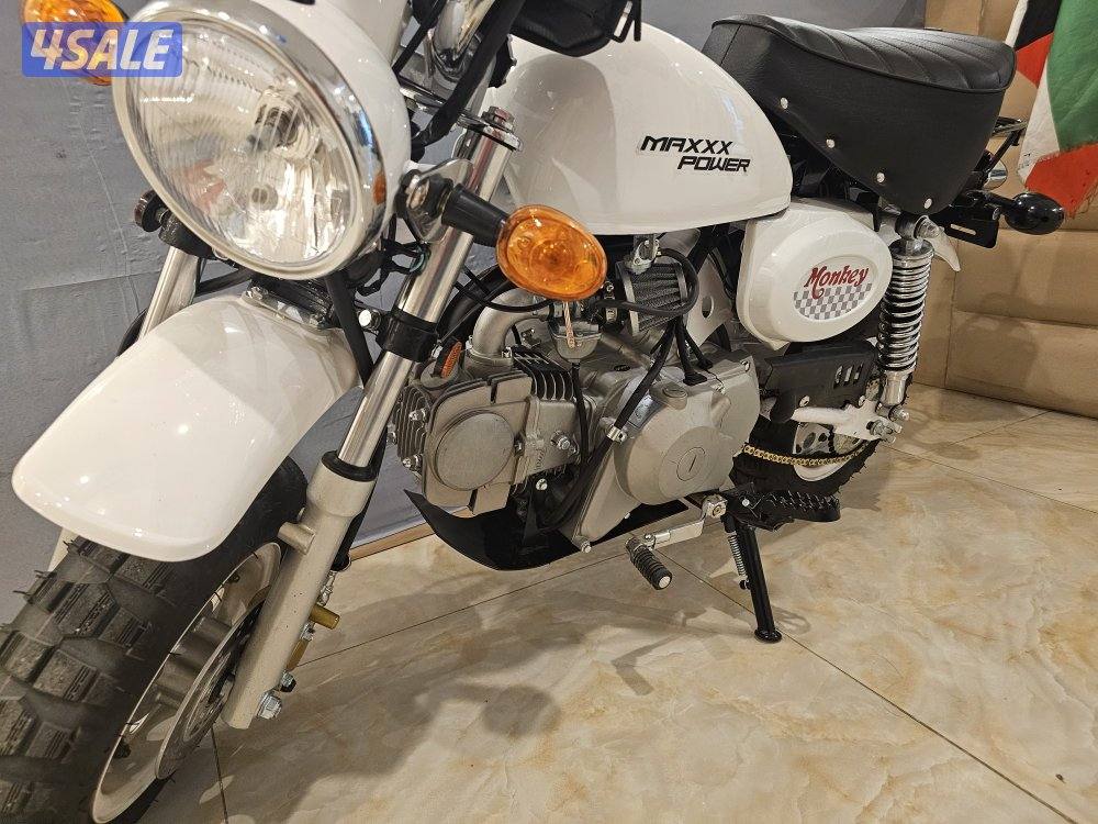 سيكل مونكي1