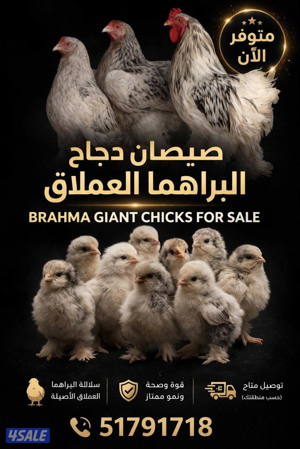 كبد مقابل المها الزراعية0