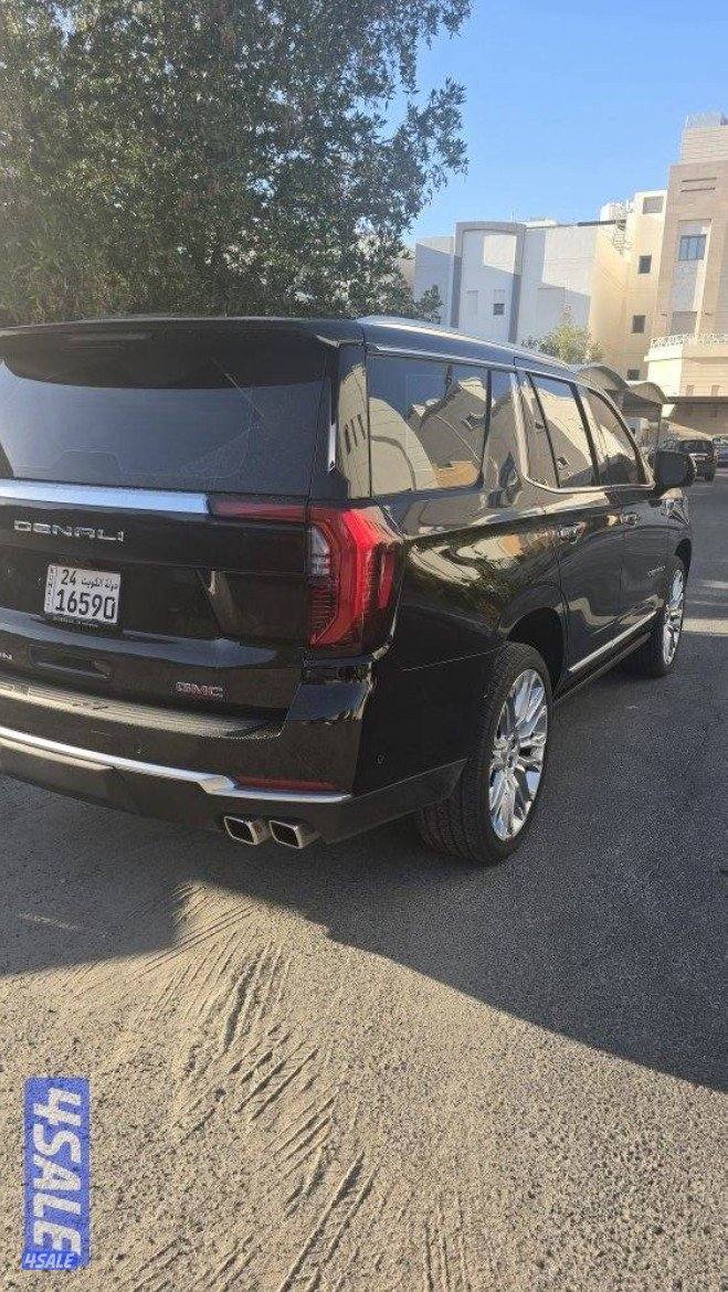 دينالي ٢٠٢٥ تقريبا اصفار1