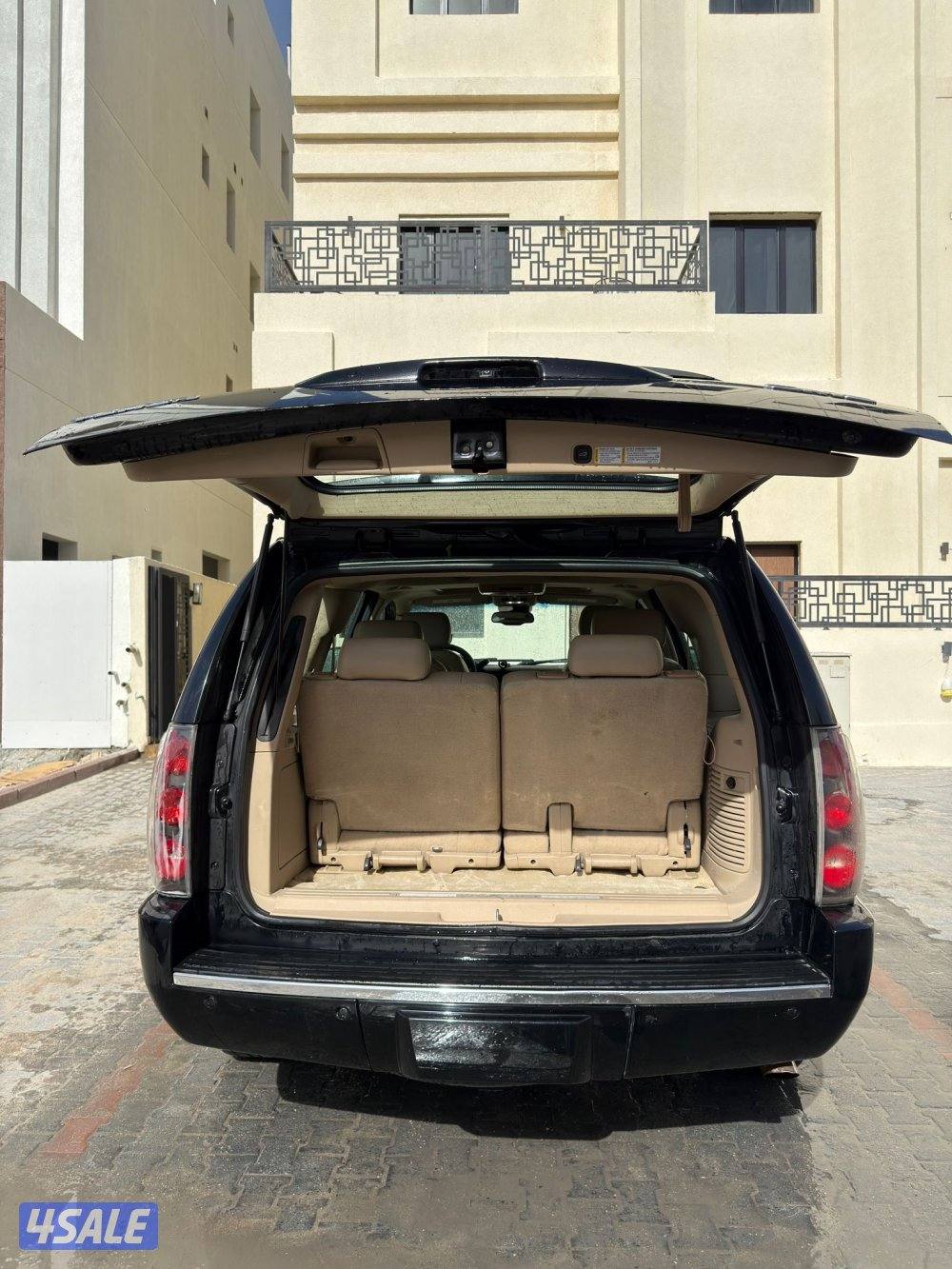 يوكن دينالي1