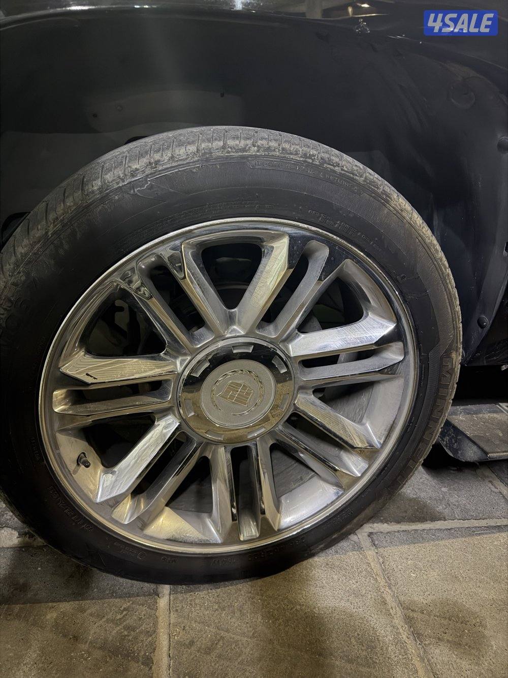 ليتات ورنقات سكالد بلاتنيوم اصليين6