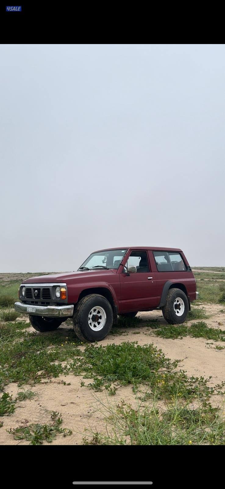 وارد البابطين3