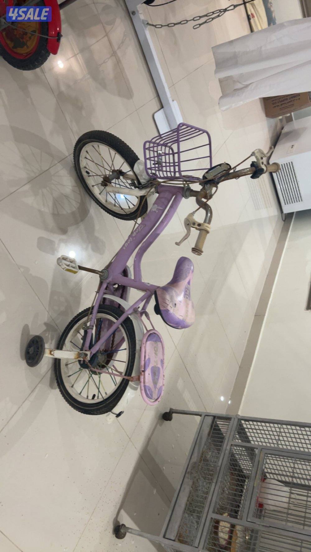 قواري للبيع0