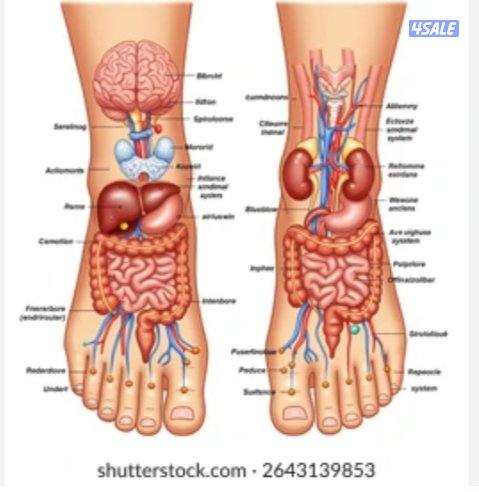 physiotherapy treatment,home service and spa3