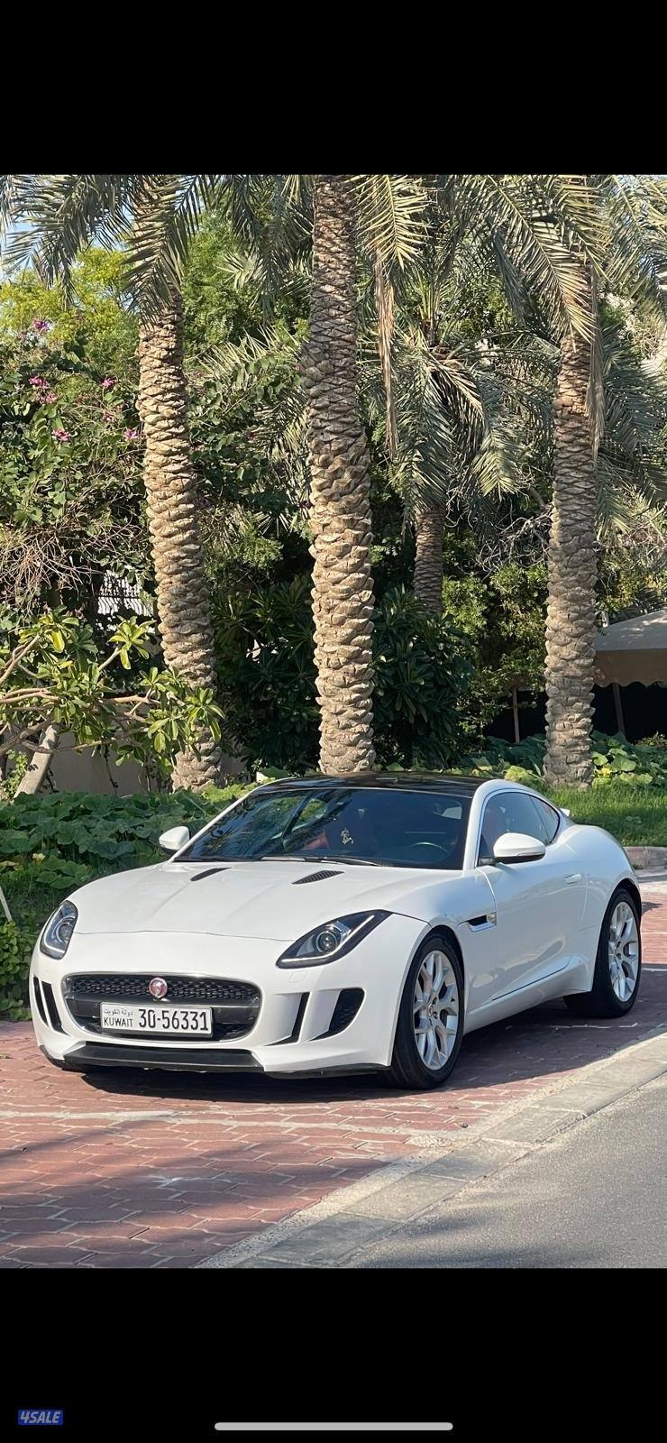 f type جاكور0