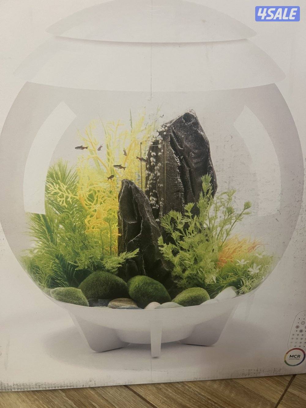 للبيع حوض اكواريوم جديد بالكرتون1