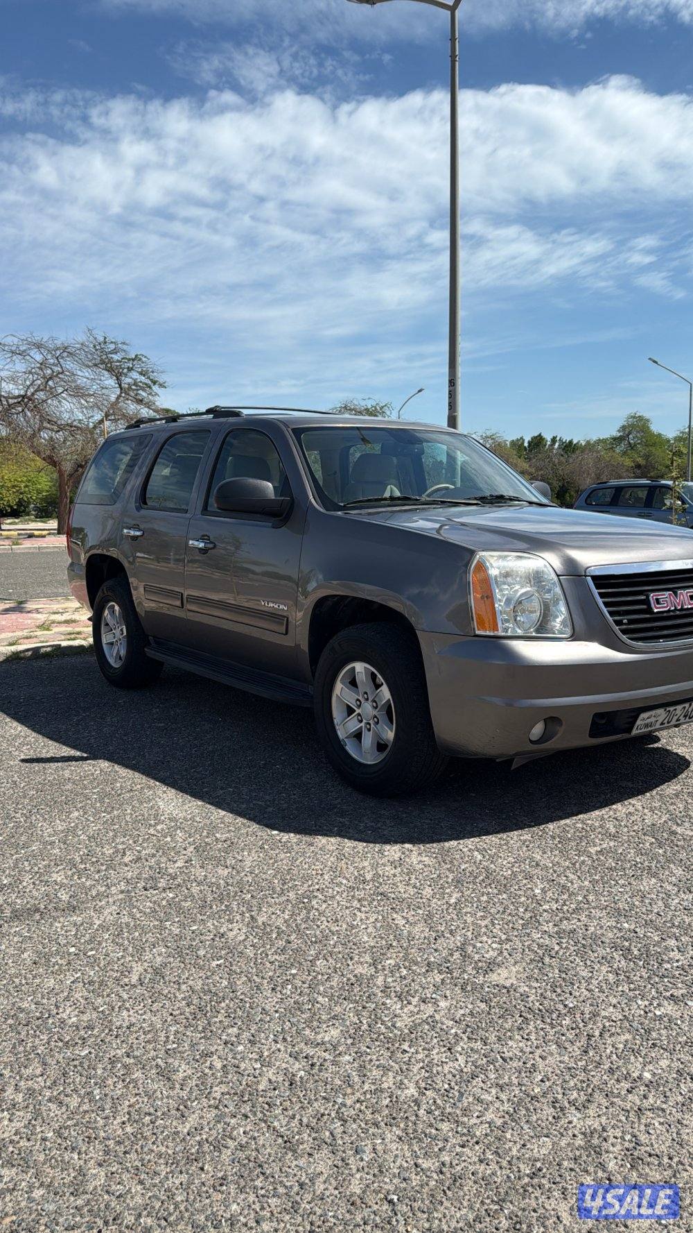 للبيع يكون 20121