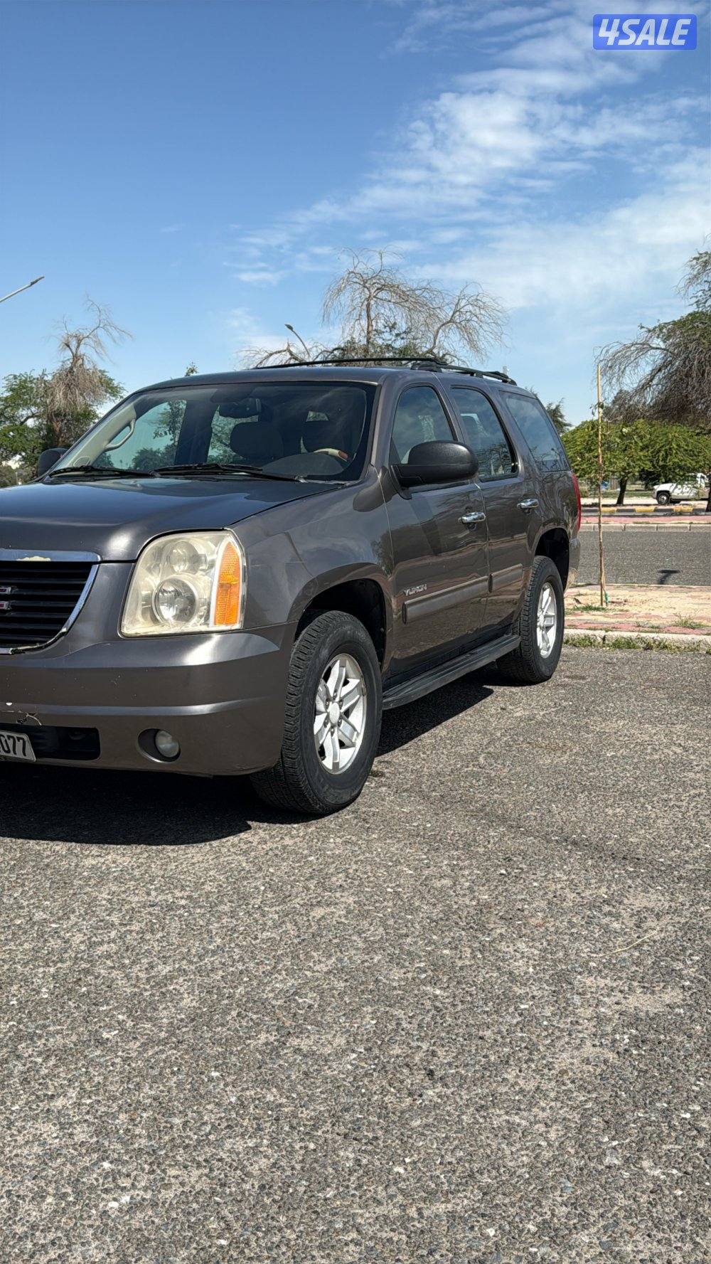 للبيع يكون 20125