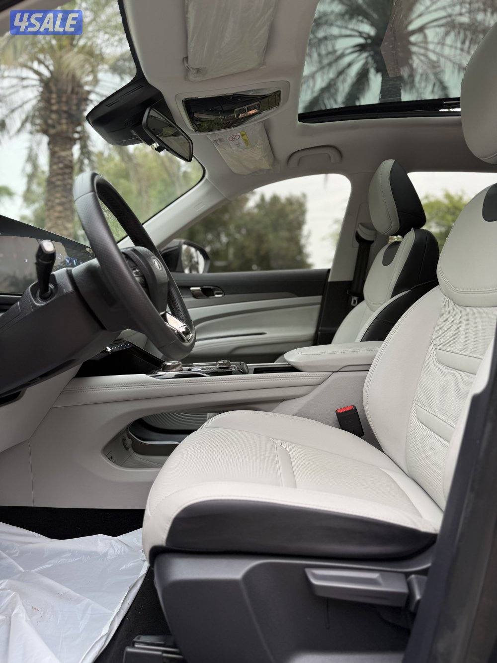 فود تيريتوري صبغ الوكالة9