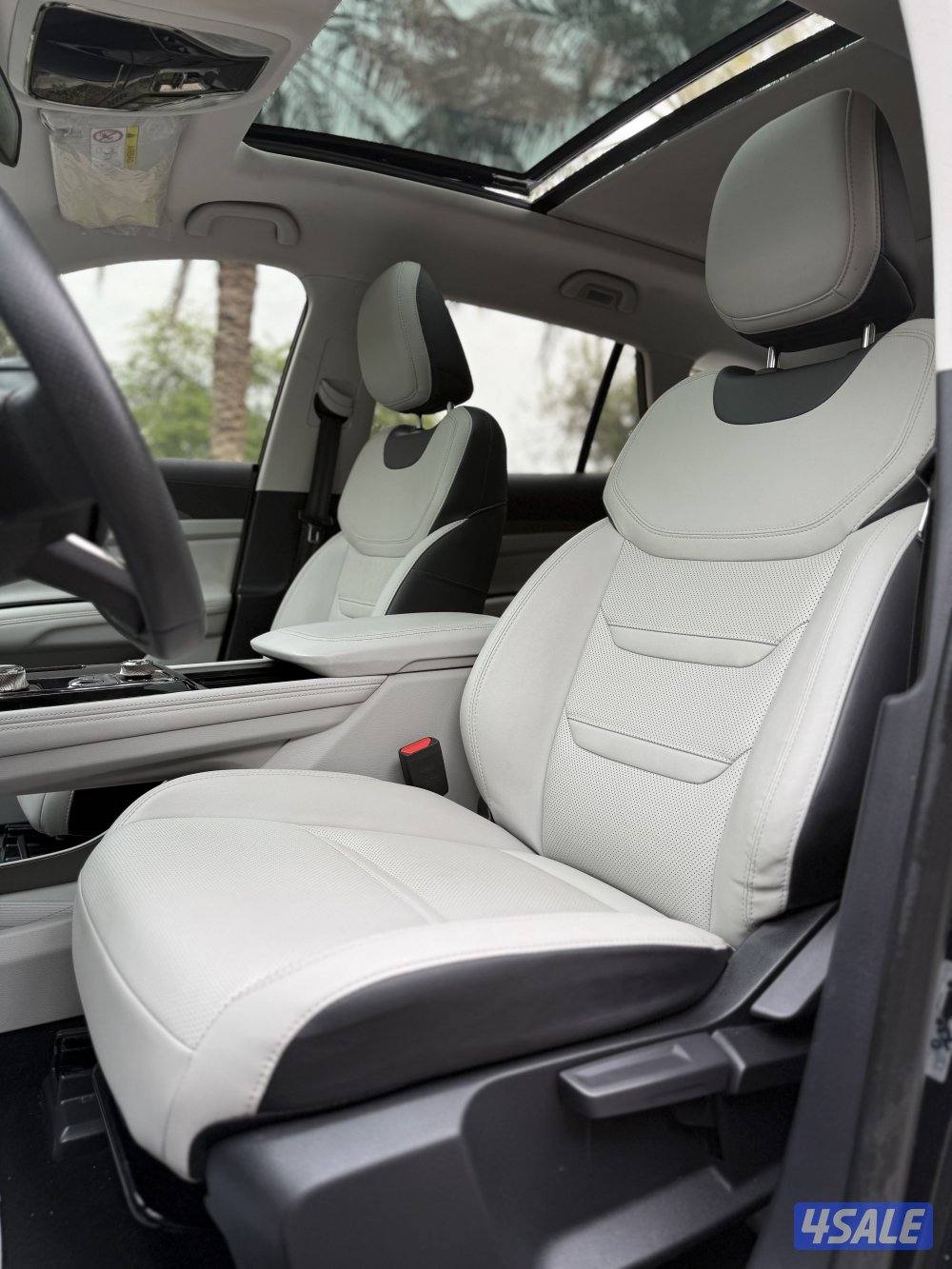 فود تيريتوري صبغ الوكالة10