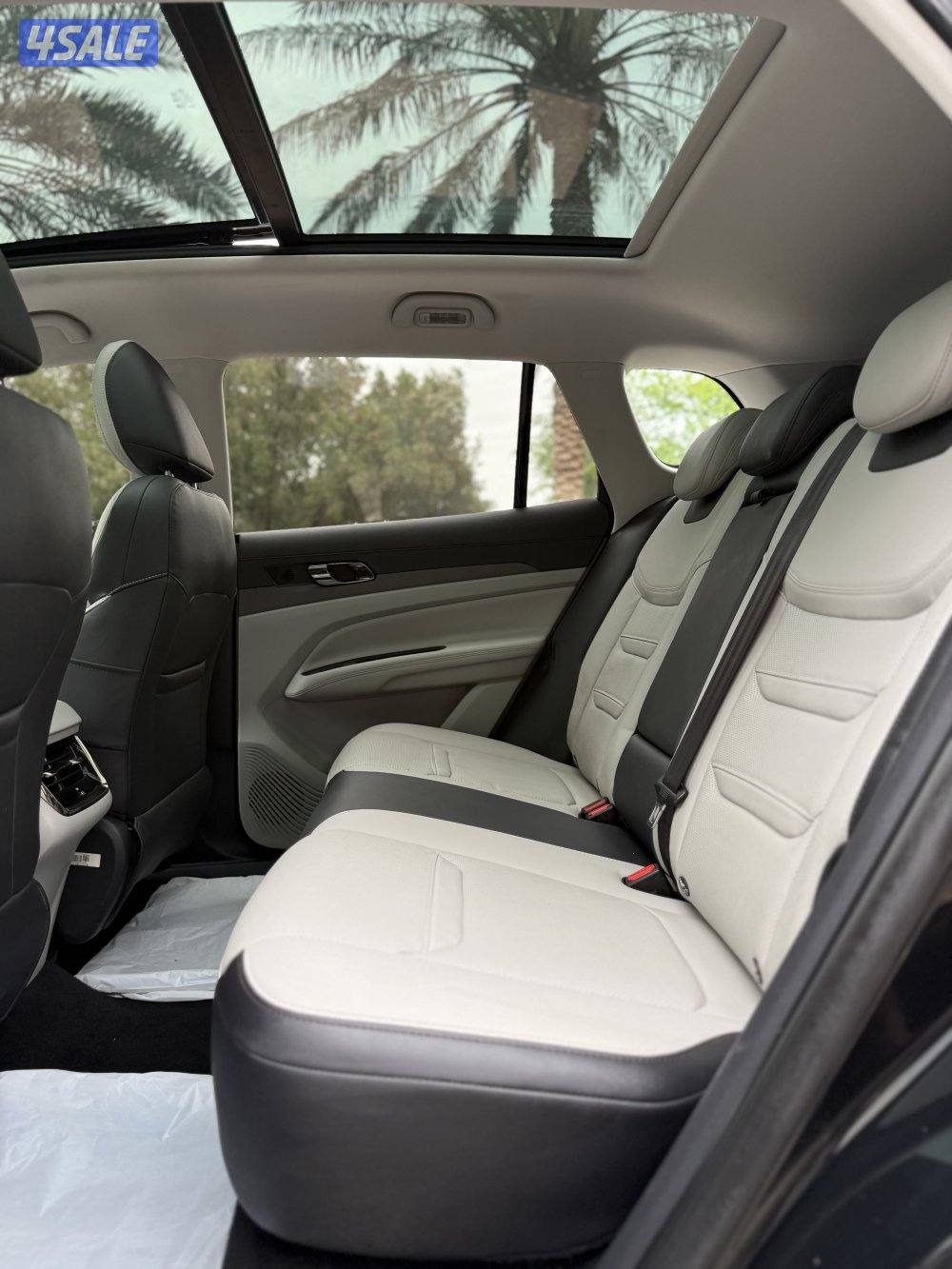 فود تيريتوري صبغ الوكالة11