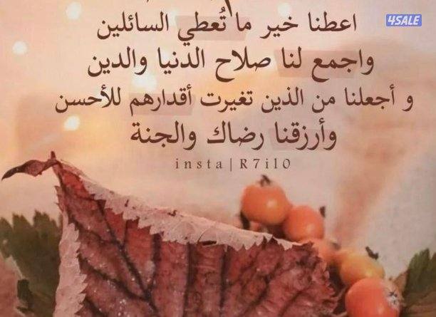 للبيع قسيمة0