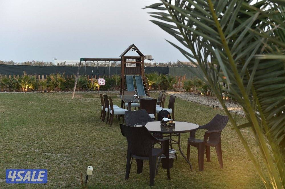 بافيليون الوفره1