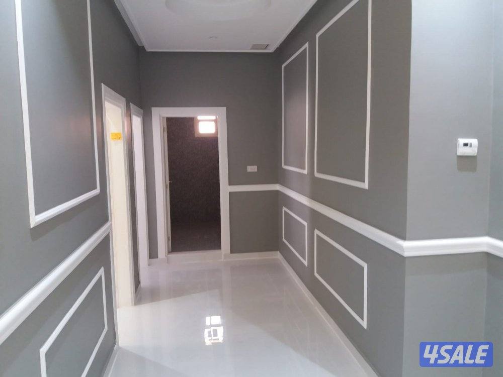 اصباغ ابو دلال2