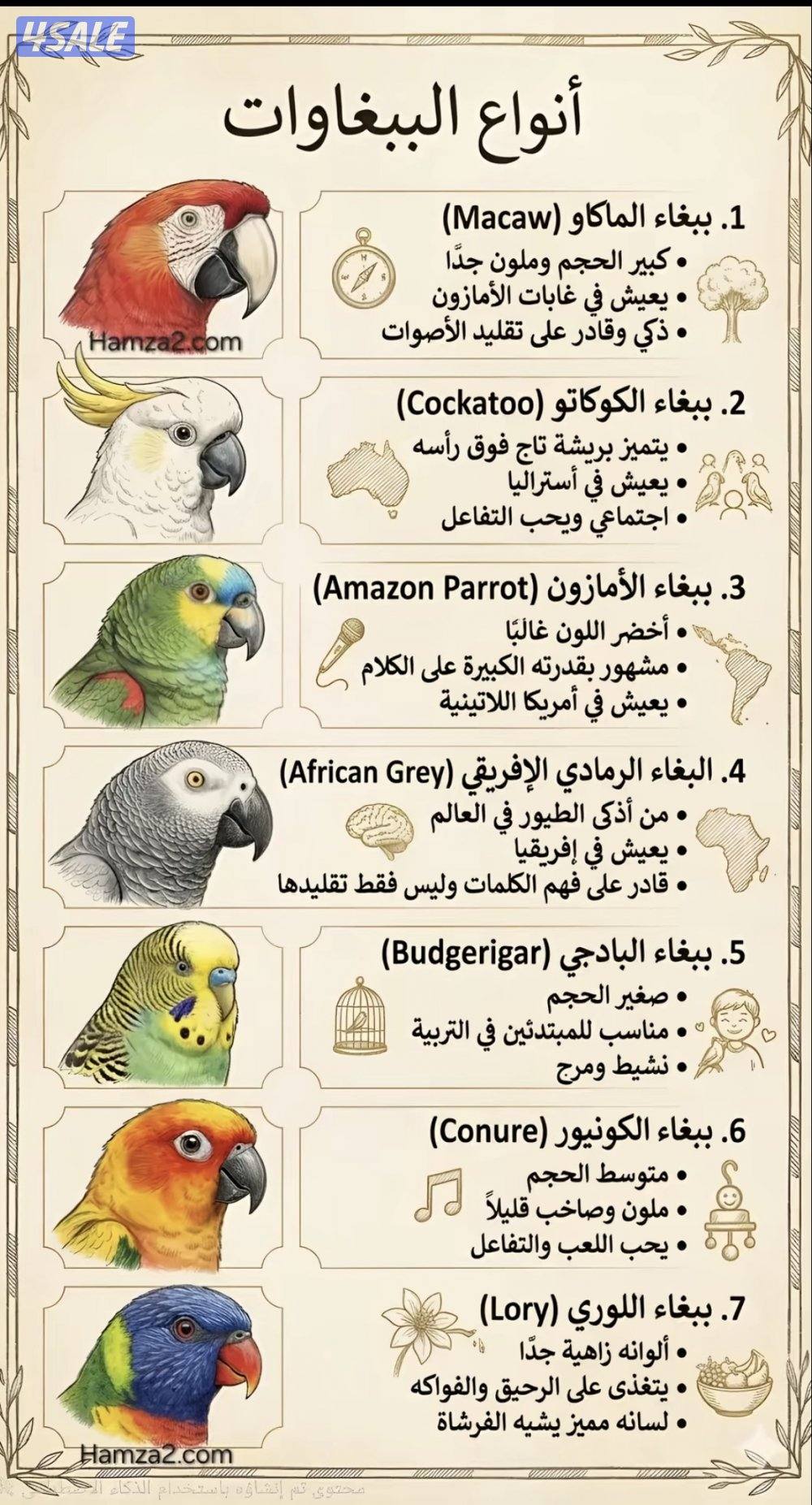 نشتري طيور0