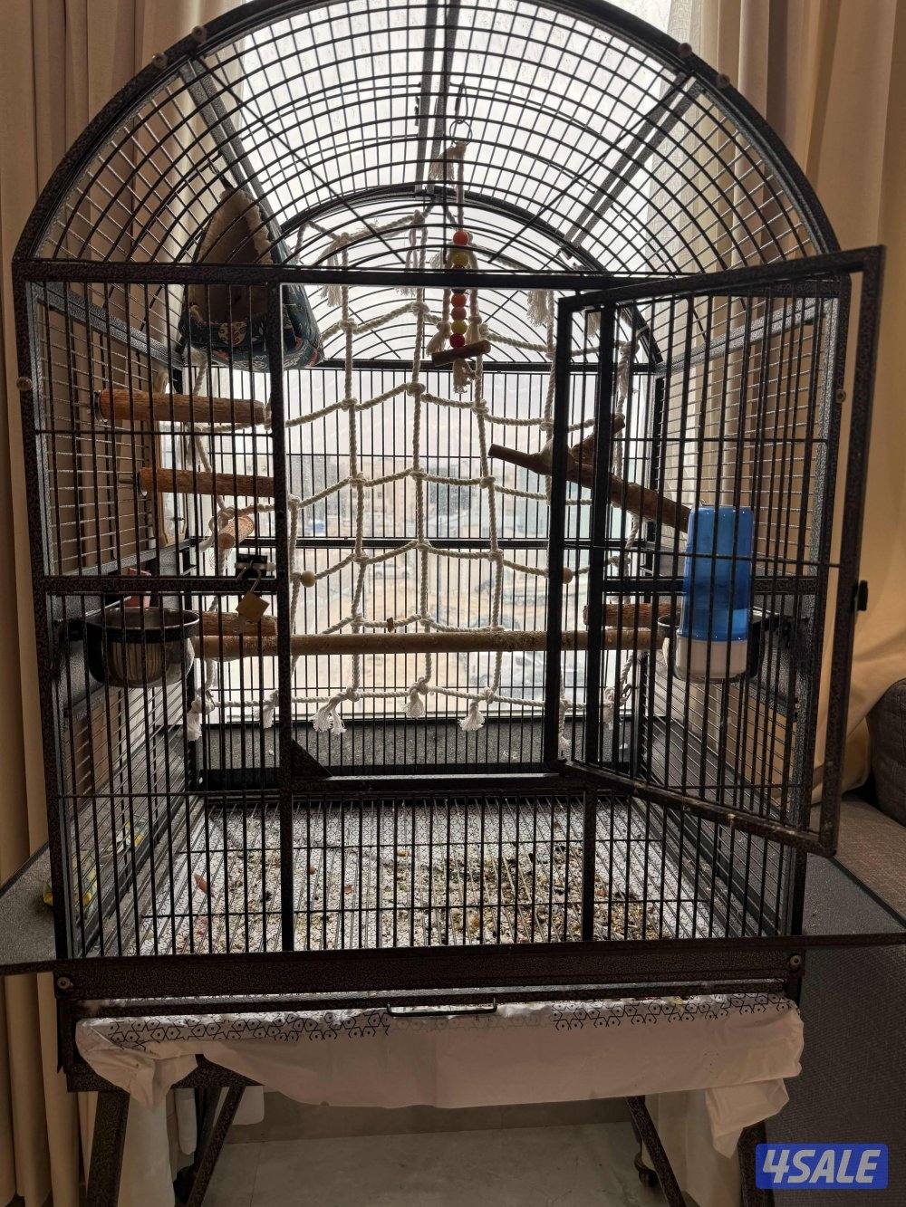 كنيور انناس0