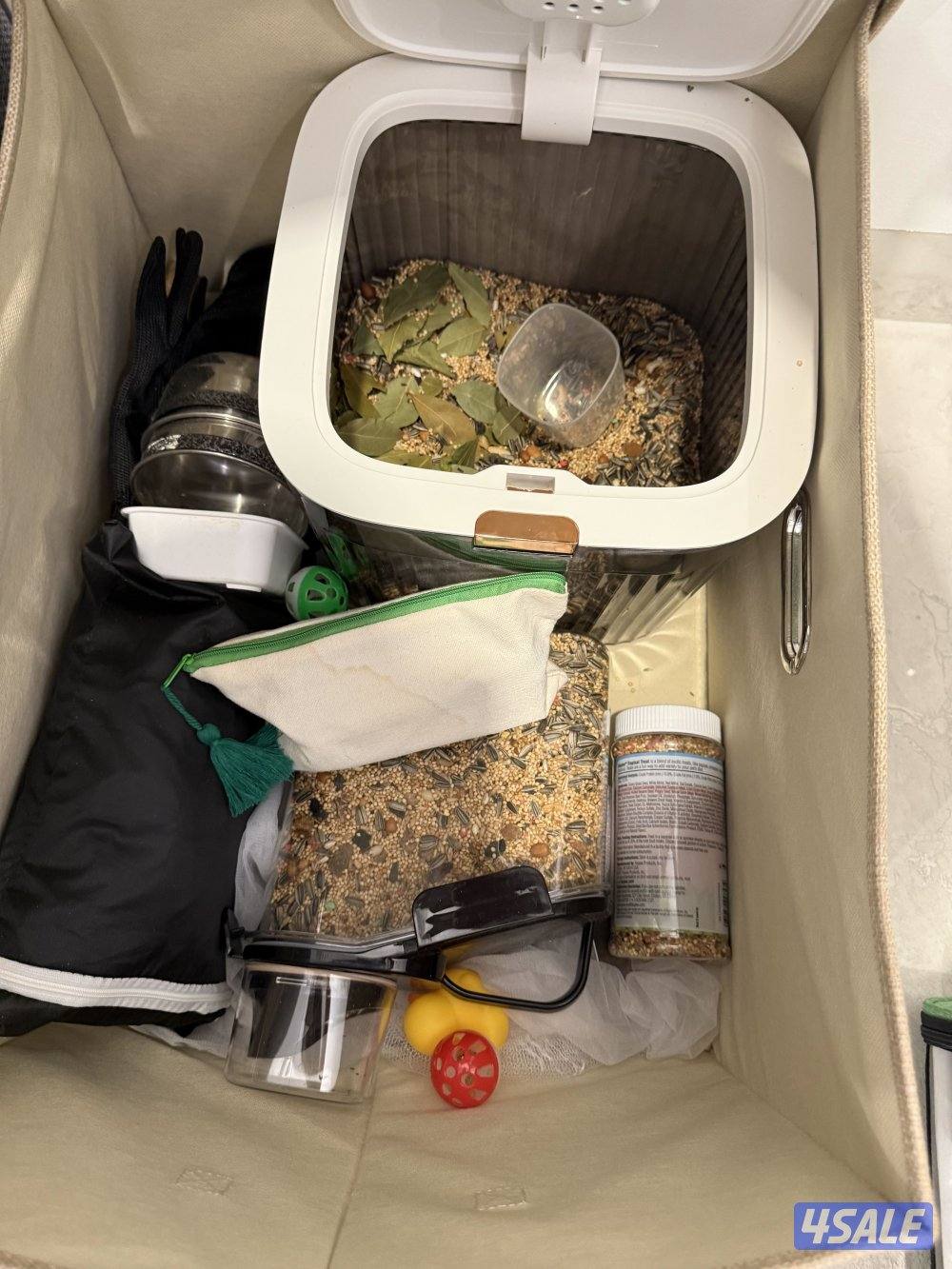 كنيور انناس1