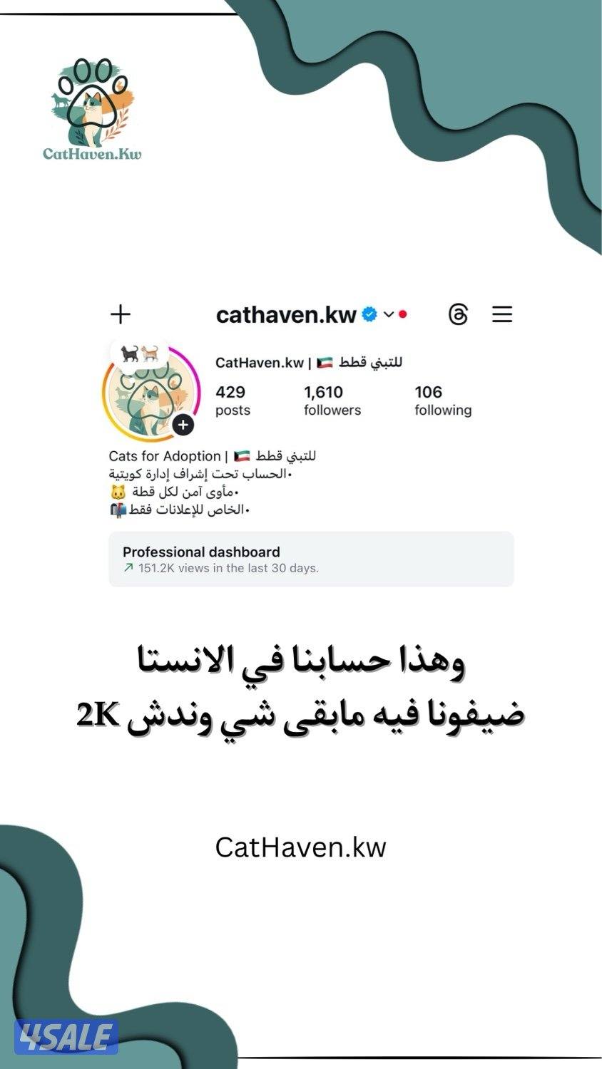 حساب للتبني والإعلانات عن القطط في الكويت1