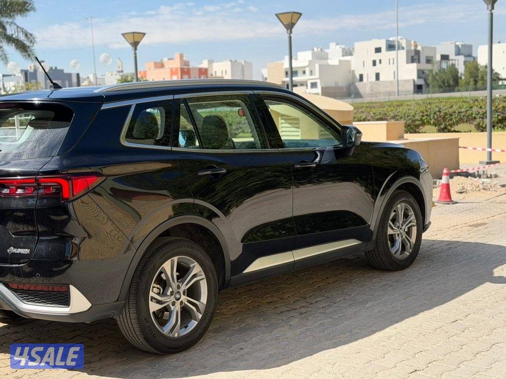 صبغ الوكالة كامل المواصفات 20241