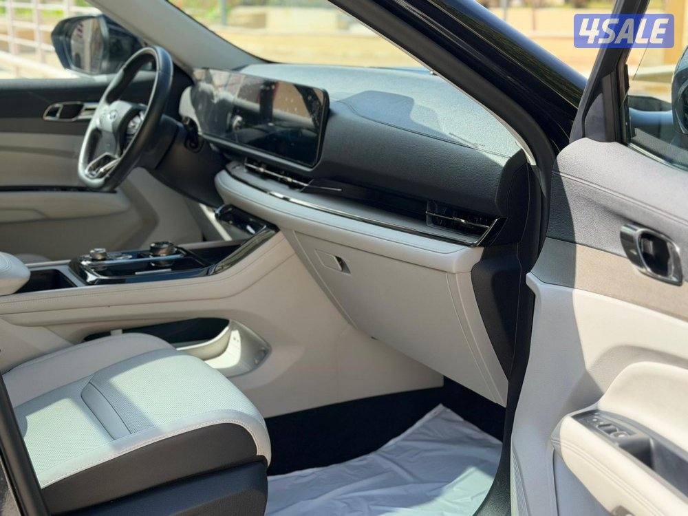 صبغ الوكالة كامل المواصفات 20246